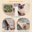 Arbre à chat à niveaux multiples 64,5 H "avec poteaux à griffer-732927927