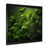 Black Single Picture Framed
