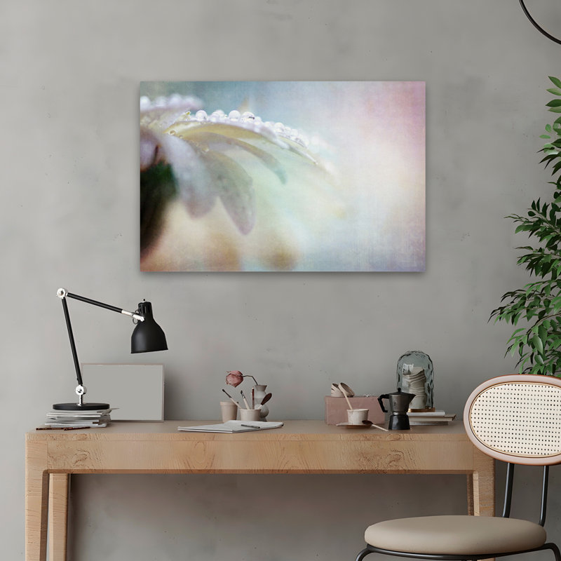 Plantes, fleurs, paysage, nature, marguerites, H 16 po x l 24 po