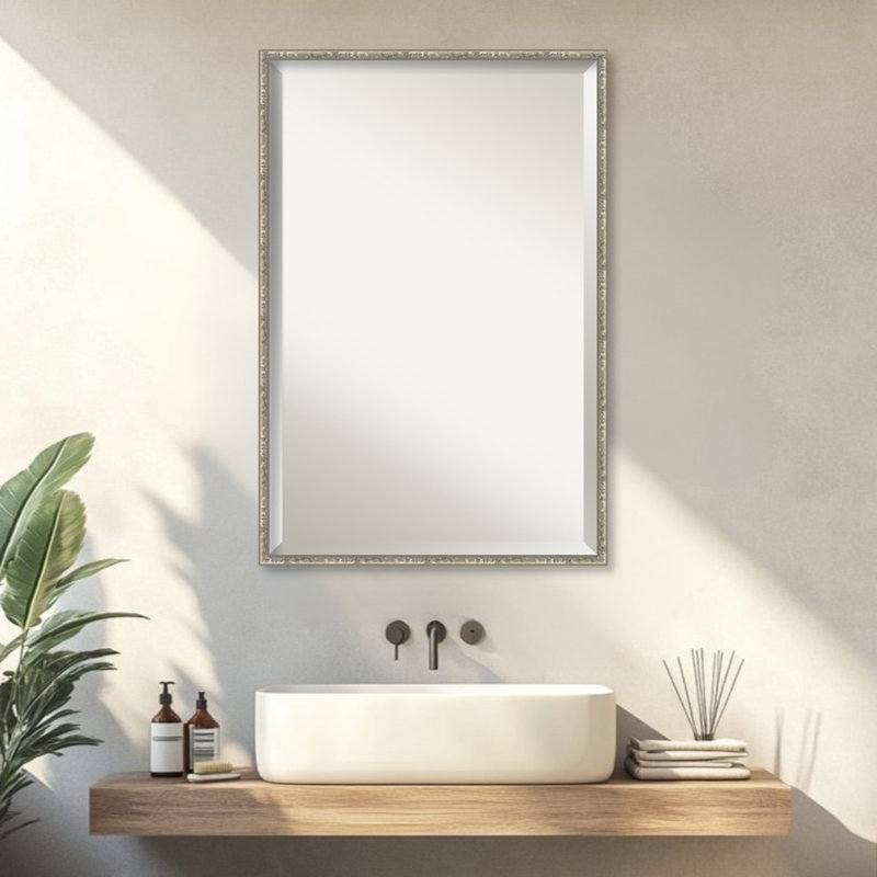 Miroir mural de salle de bain Pearce, L 25,25 po x H 37,25 po, Belvédère argenté