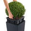 Pot à fleurs Cubi-515401334-504006651