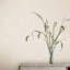 Laura Ashley Annecy Paintable Wallpaper Roll-139088174