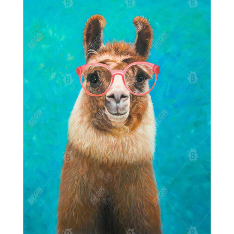 " Lovable Llama "