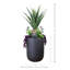 Agave en pot de Fiberstone avec cactus et Echeveria
