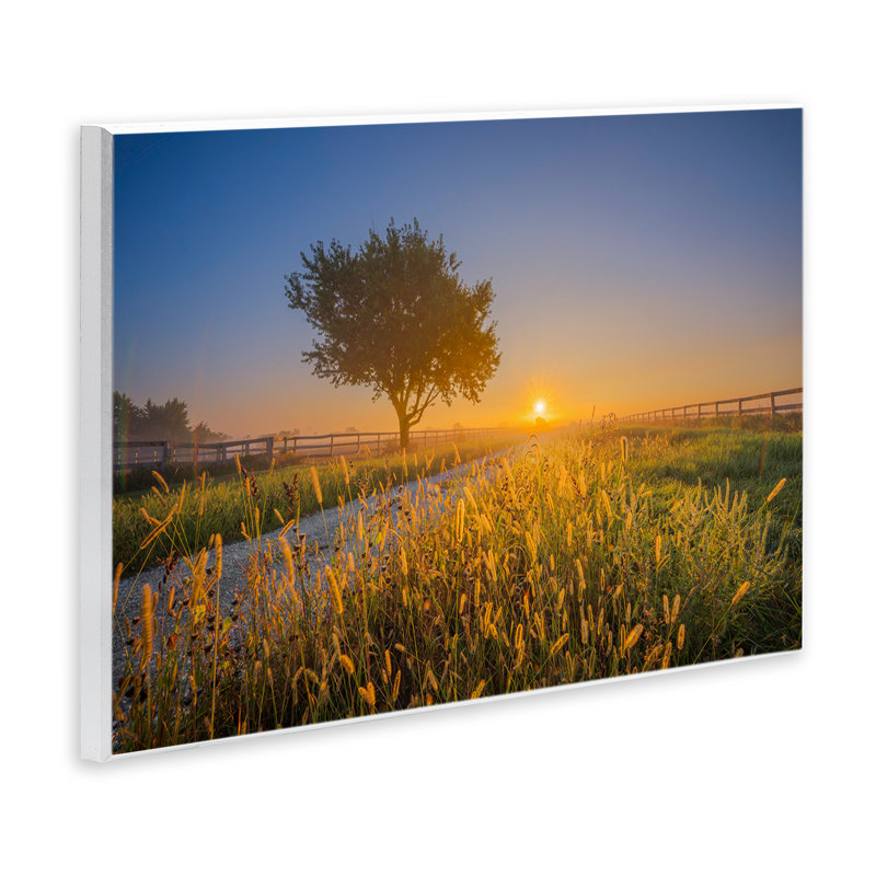 «Rising Sun Horizon» par Marty Hulsebos, H 10 po x l 15 po