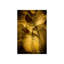 Antelope Canyon II Print by Mitchell Bloch-26947163-26947162