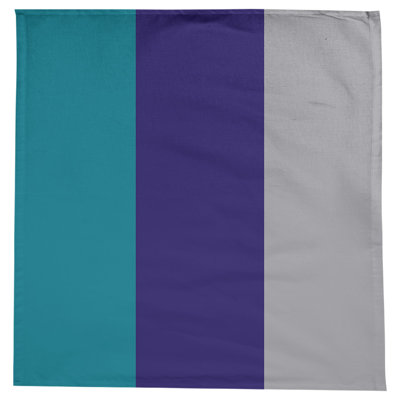 Charlotte Basketball Tablecloth