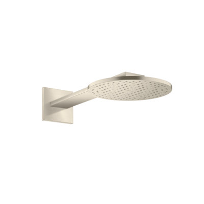 ShowerSolutions Showerhead 250 2-Jet with Showerarm Trim