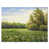 Toile tendue
