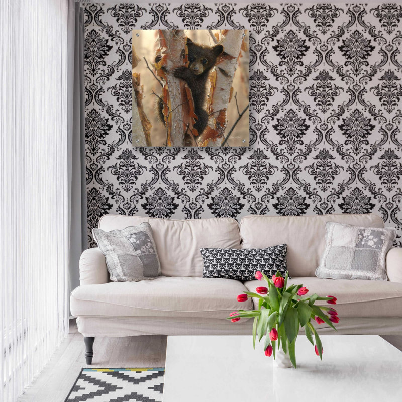 «Curious Cub II» par Collin Bogle, art mural en verre acrylique, H 24 po x l 24 po x P 0,2 po