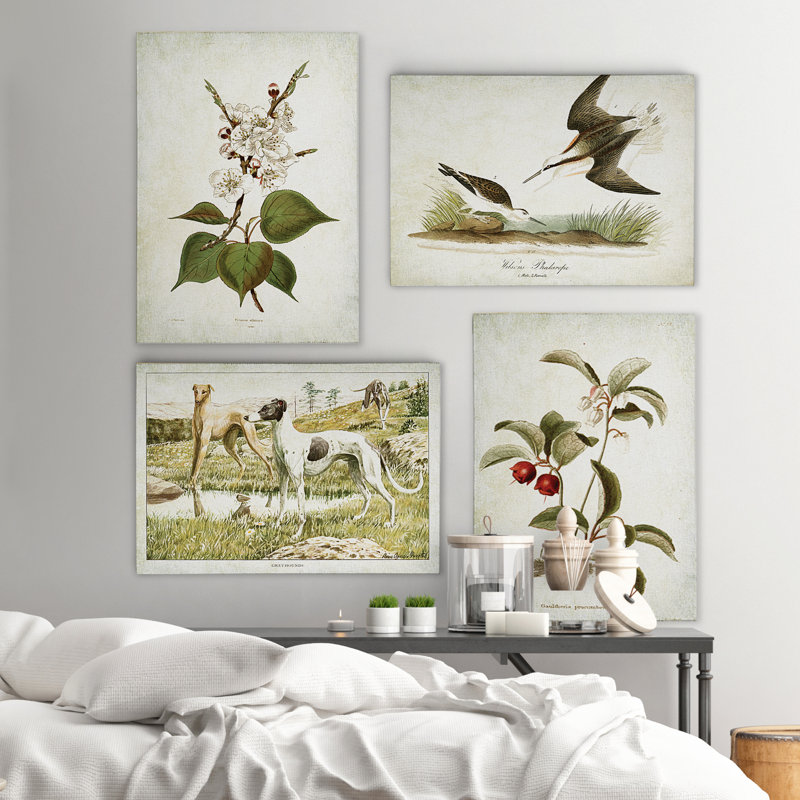 «Vintage Floral and Animal Prints», ensemble de 4 reproductions sur toiles tendues, H 18 po x l 48 po x P 1 po