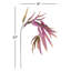 37-Inch Willow Eucalyptus Stem
