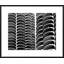 Corn Cobs Framed Photographic Print