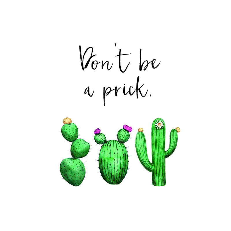 Don’T Be A Prick Cactus 2, H 18 po x l 12 po