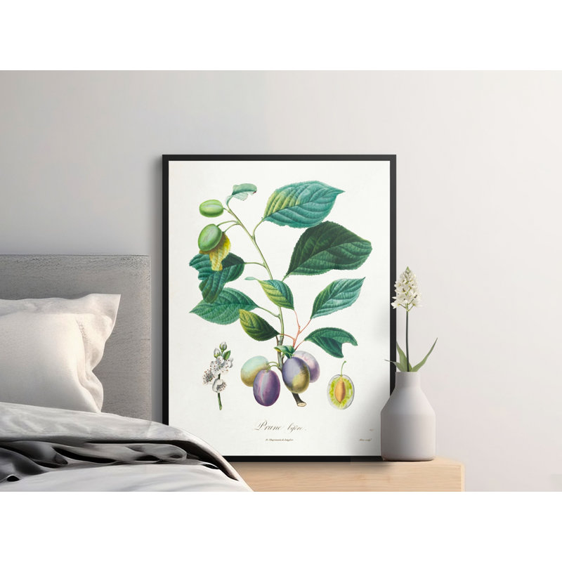 No Frame Print, 28x40