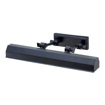 2 -Light Hardwired Dimmable Wall Mounted Picture Light