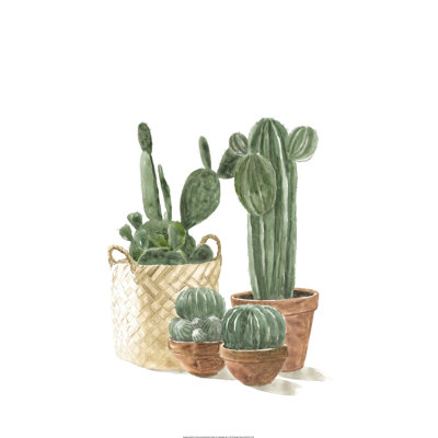 Cacti In Pots - Wrapped Canvas Painting