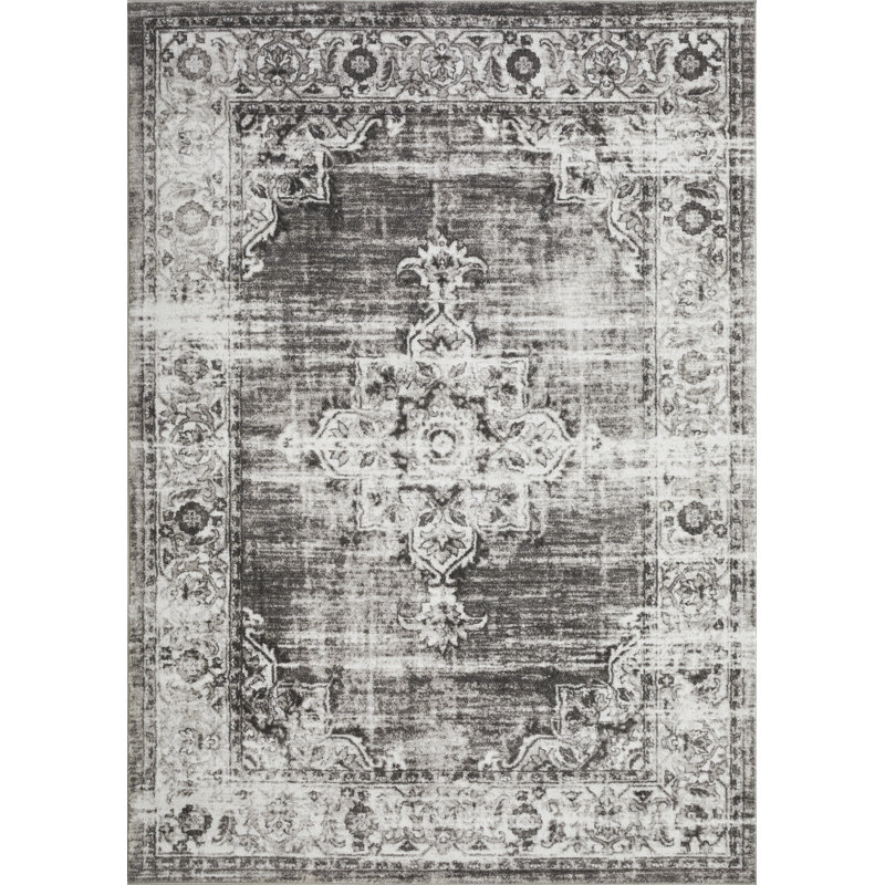 Raghdah Washable Oriental Indoor Rug, Rectangle 9'10" x 12'10"