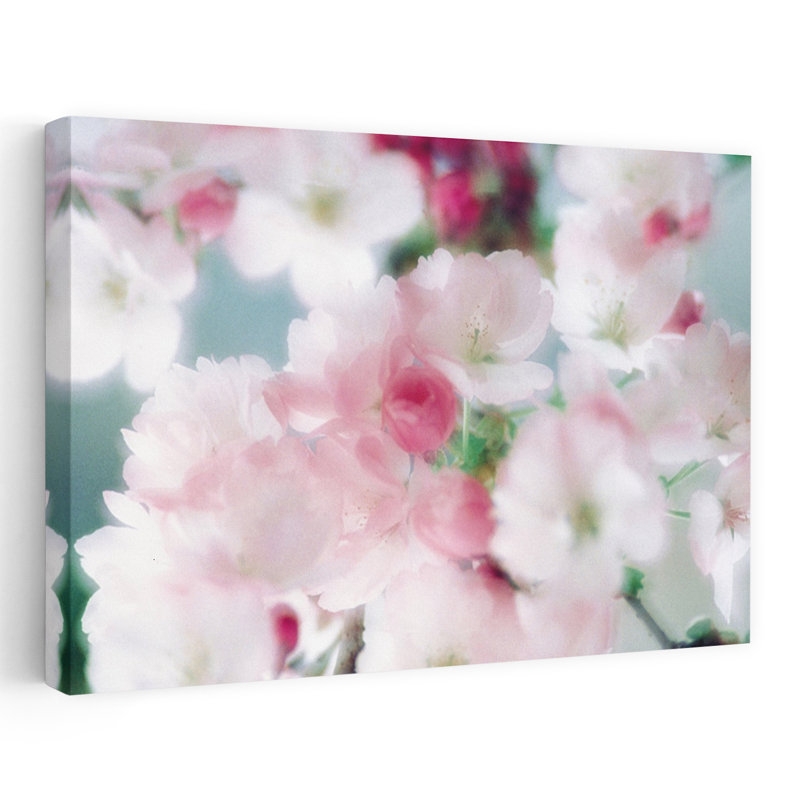 Fleurs de cerisier, gros plan, vue abstraite, art contemporain de fleurs de cerisier, H 40 po x l 60 po