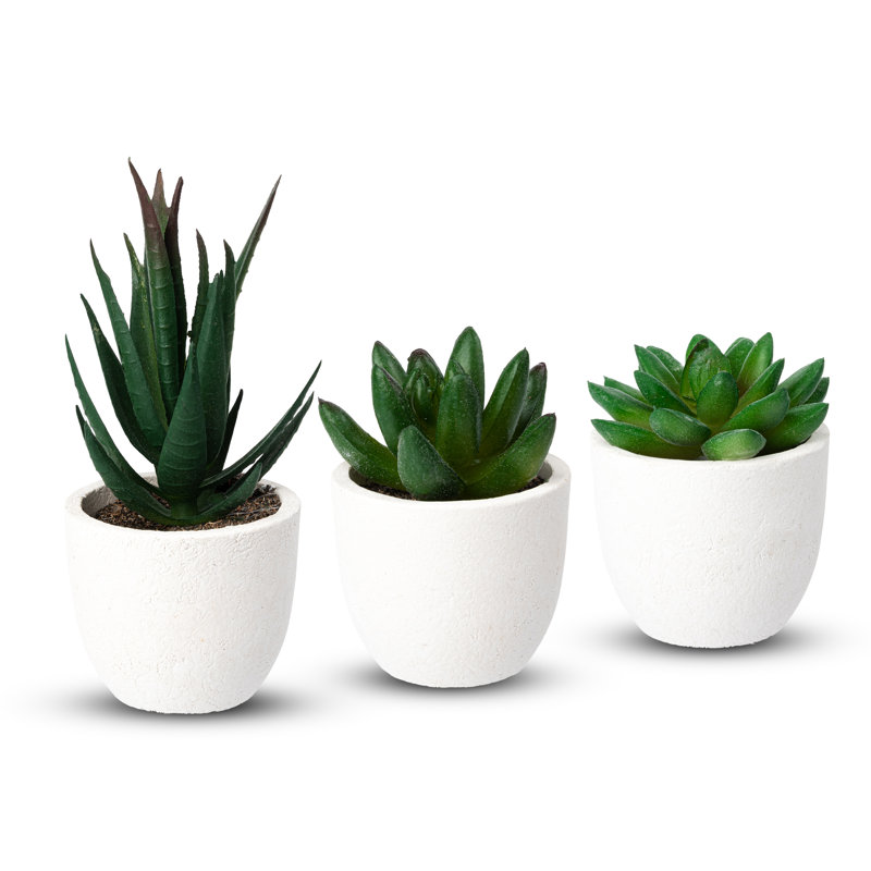 14 cm H Faux Bonsai Succulent Plant