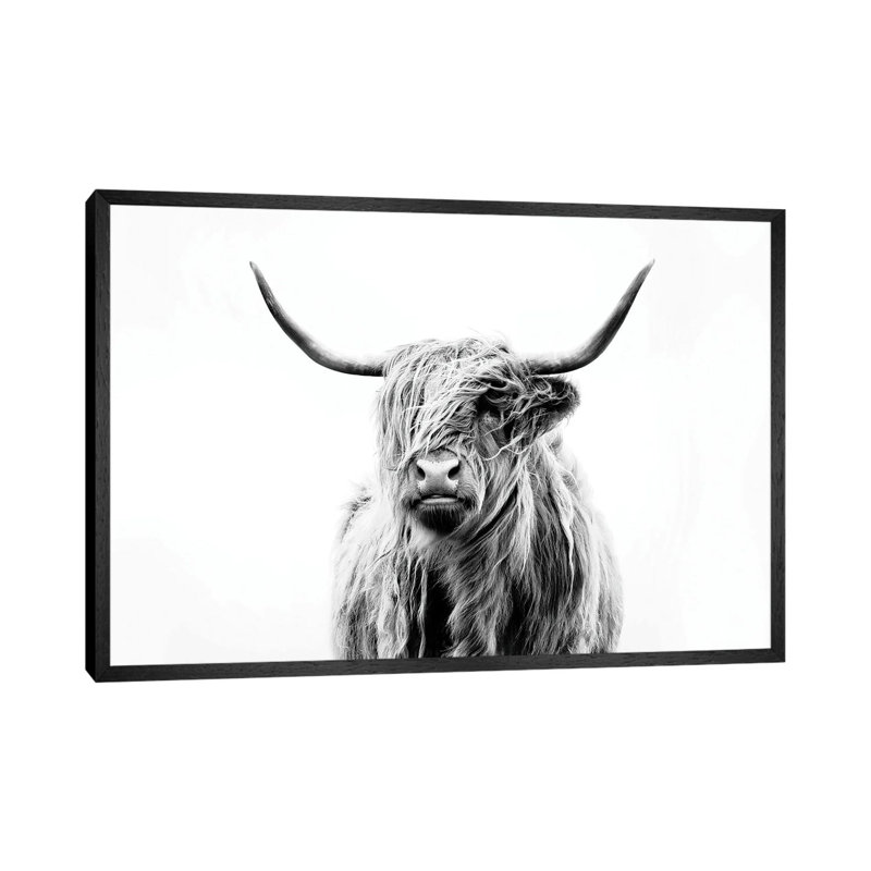 Bairdstown Portrait Of A Highland Cow by Dorit Fuhg - Print on Canvas, 66.04 cm H x 45.72 cm W, Black Framed Canvas