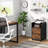 Cooleemee 15.75'' Wide 2 -Drawer Mobile File Cabinet-1424197332