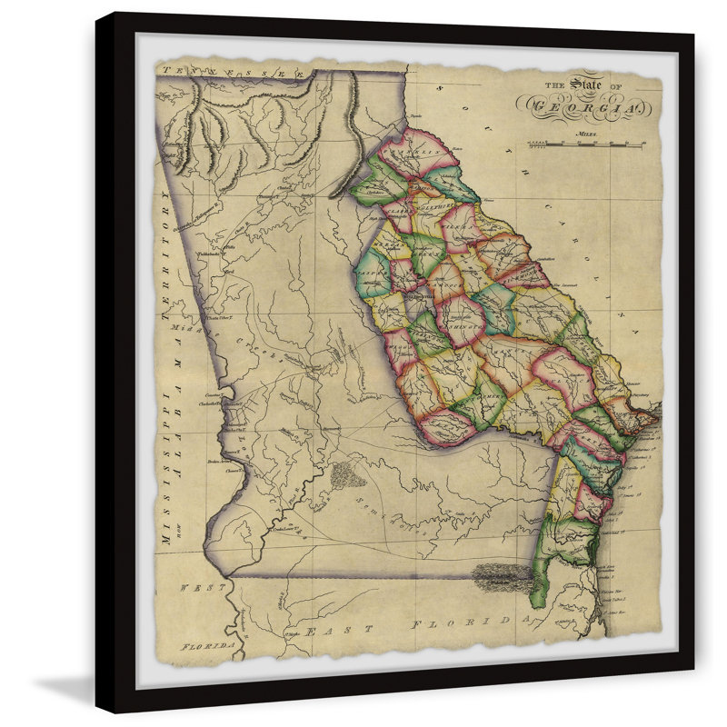 " The State Of Georgia Map ", 12" H x 12" W x 1.5" D