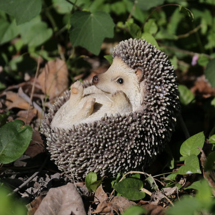Hedgehog On Back Statue