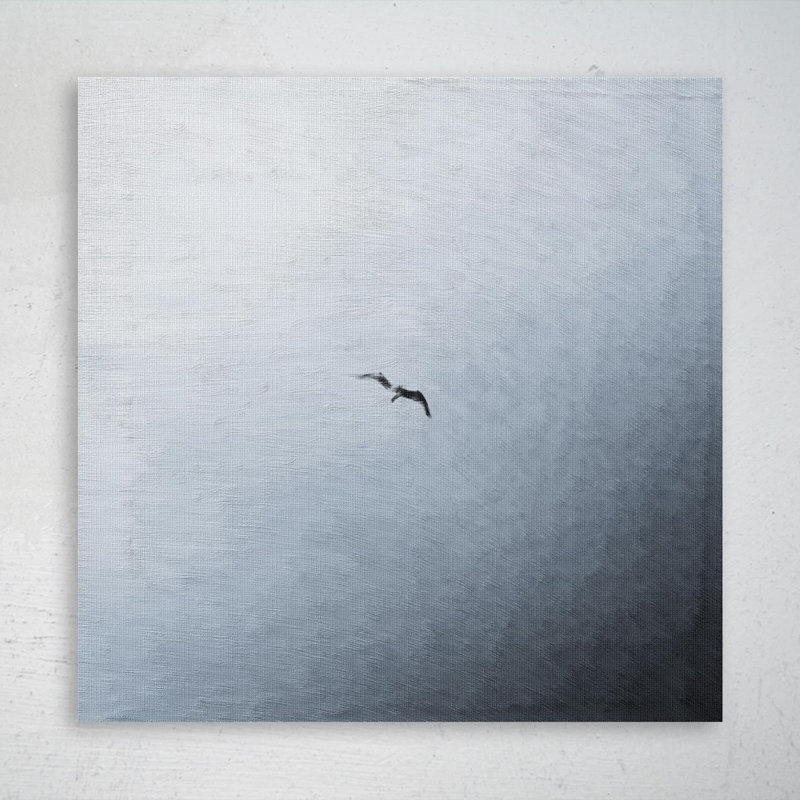 Bird Flying - 1 pièce, impression sur toile tendue, H 16 po x l 16 po x P 2 po