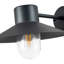 Ivy 22cm H Outdoor Barn Light