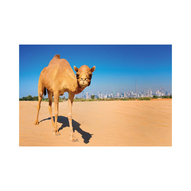 Camel In The Dessert With Dubai Skyline by Susanne Kremer - Wrapped Canvas Gallery-Wrapped Canvas Giclée