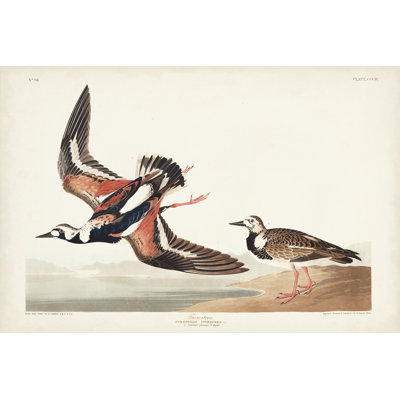 Pl. 304 pierre tournante