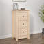Dishon Rectangle Accent Chest-1916594591