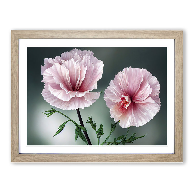 Timeless Carnation Flowers - Single Picture Frame Print, 34cm H x 46cm W x 2cm D, Oak Framed