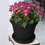 Pot à fleur intérieur / extérieur en plastique Terra-317655722-317655700