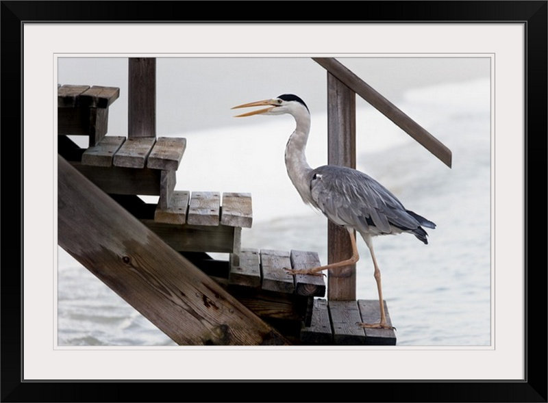 Straub Modern & Contemporary, Black Frame, 20" H x 26" W x 1" D