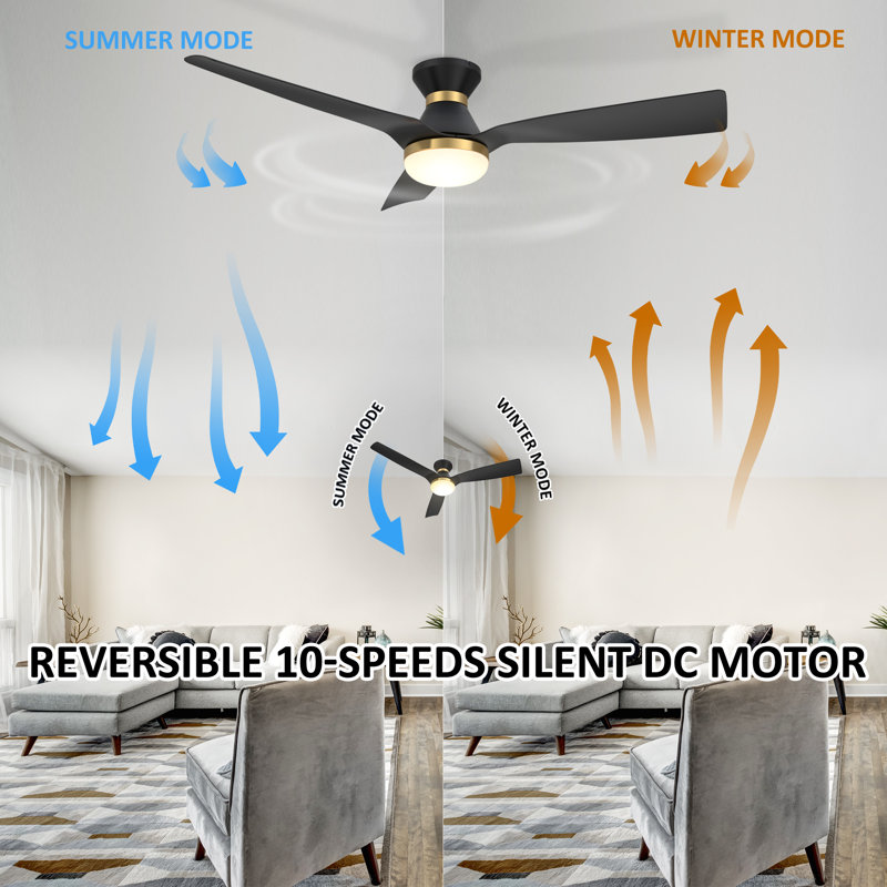 Ekam 52'' Ceiling Fan with LED Lights