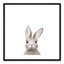 Art encadré en lapins forestières-48188938-48188939