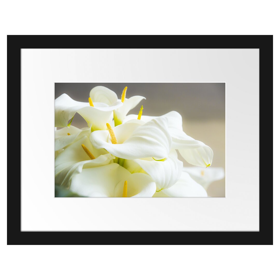 Gerahmter Fotodruck Beautiful White Calla Lilies