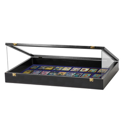 PENNZONI Trade Show Display Case Portable w/ Acrylic Side Guards