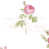 Blanc / Rose est en rupture de stock