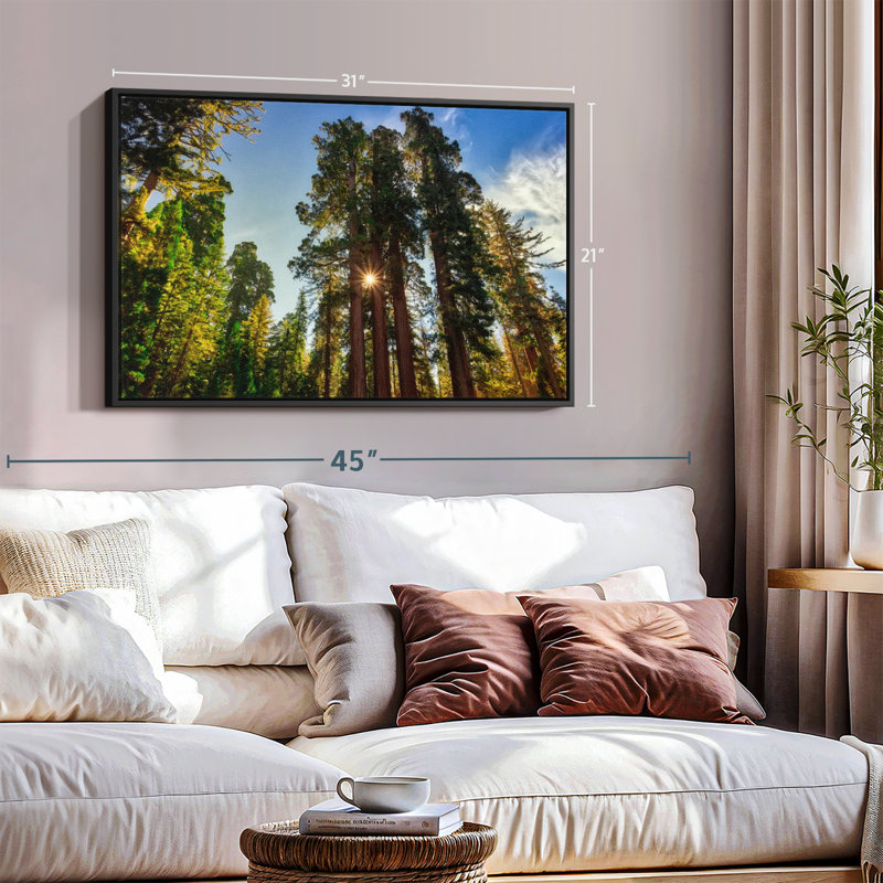 Floral et botanique «Grant Grove Trees Canvas Print», H 21 po x l 31 po