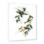Oiseau rétro III - peinture sur toile-59814174-59814183