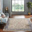 Hand Knotted Wool Area Rug in Beige-1893700447