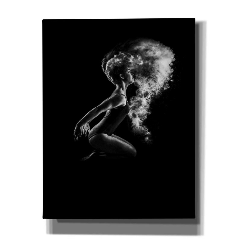 Demaj saupoudré sur toile par Design Fabrikken, H 34 po x l 26 po x P 1,5 po