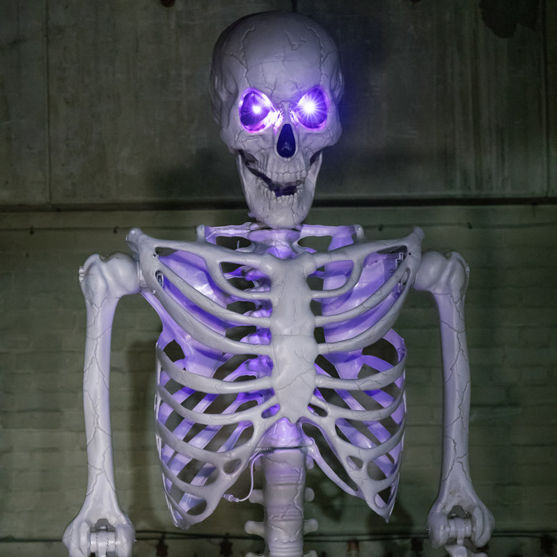 Anjelicia Halloween