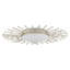Planisphere LED Flush Mount