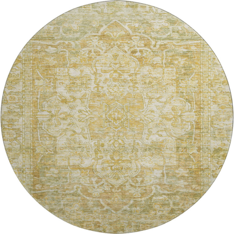 Premium Machine Washable Lucchesi AMF1728 Global Rug