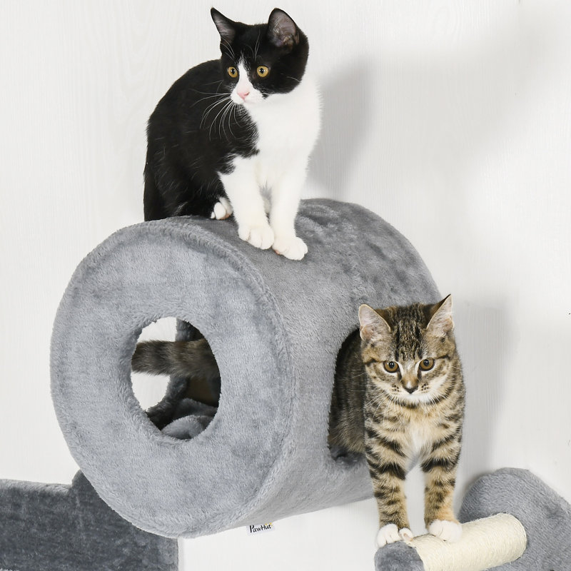 Choudhry Cat Perch