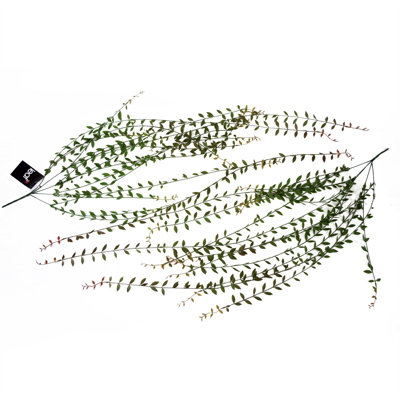 120cm Faux Foliage Plant